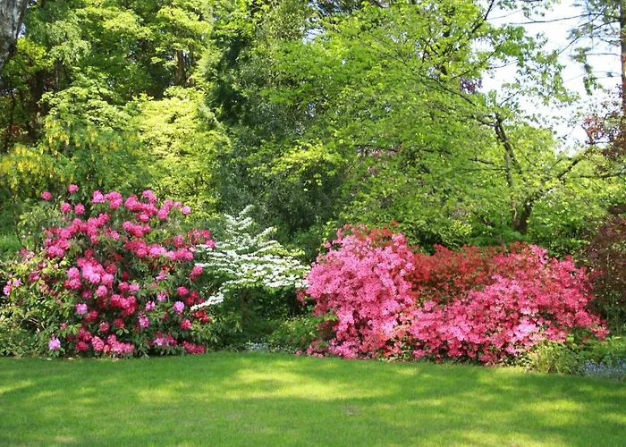 B&B De Kwakkenberg Nijmegen
